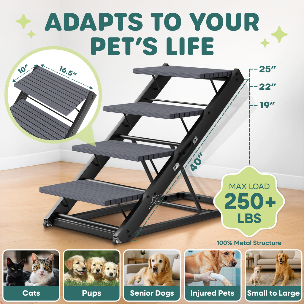 Adjustable Dog Ramp & Stairs (2-in-1)